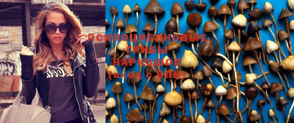 apvp Верхний Тагил