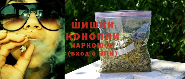 spice Верея