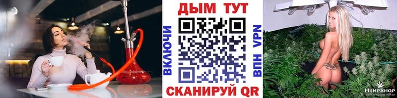 Марихуана план  Карачев 